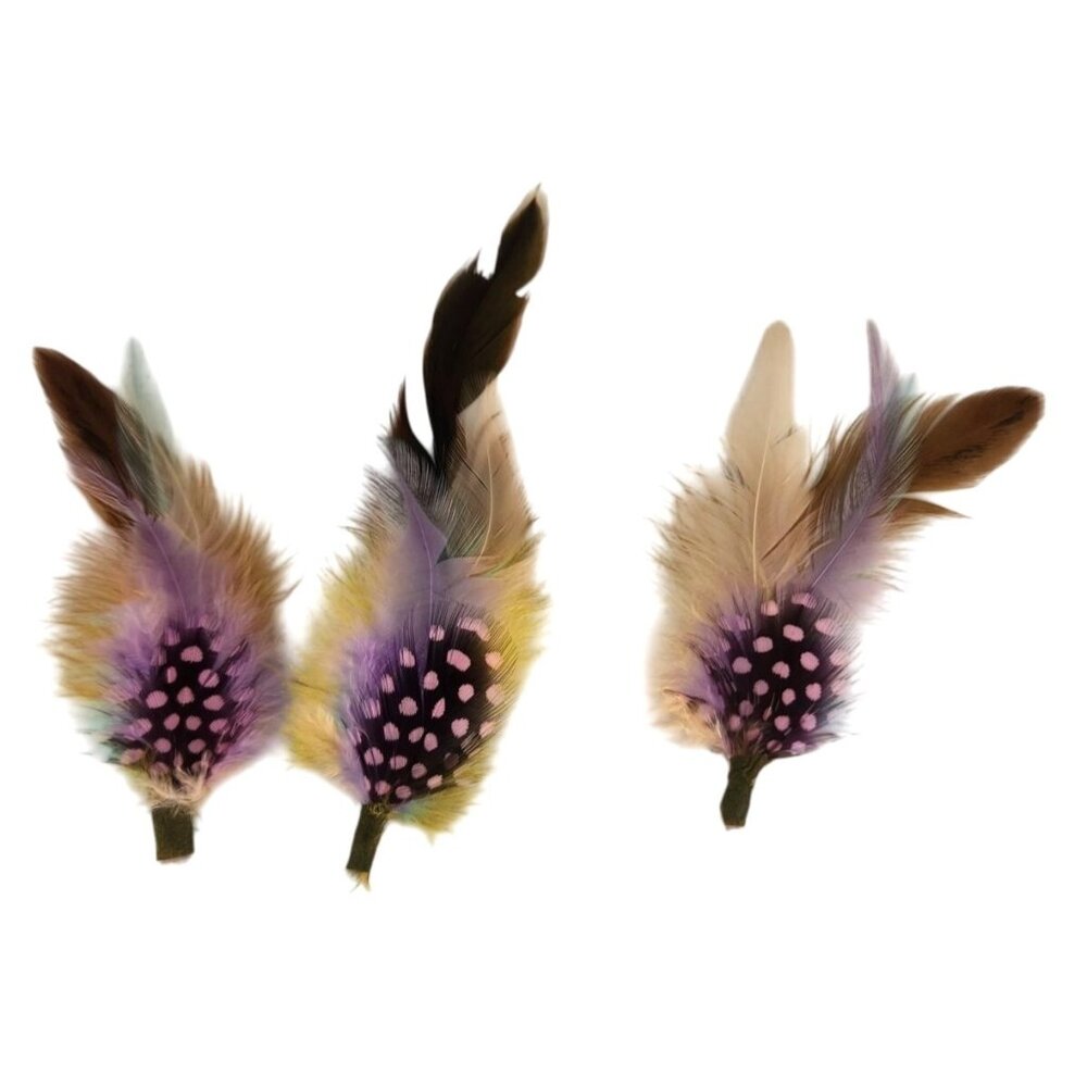 Colorful Decorative Feather Accents Dotted Guineafowl Purple Yellow craft supply